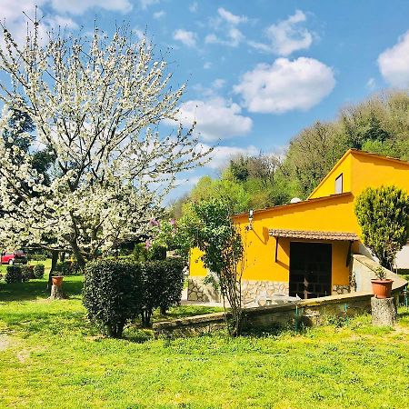 Agriturismo Pianezze Villa Grotte di Castro Exterior foto